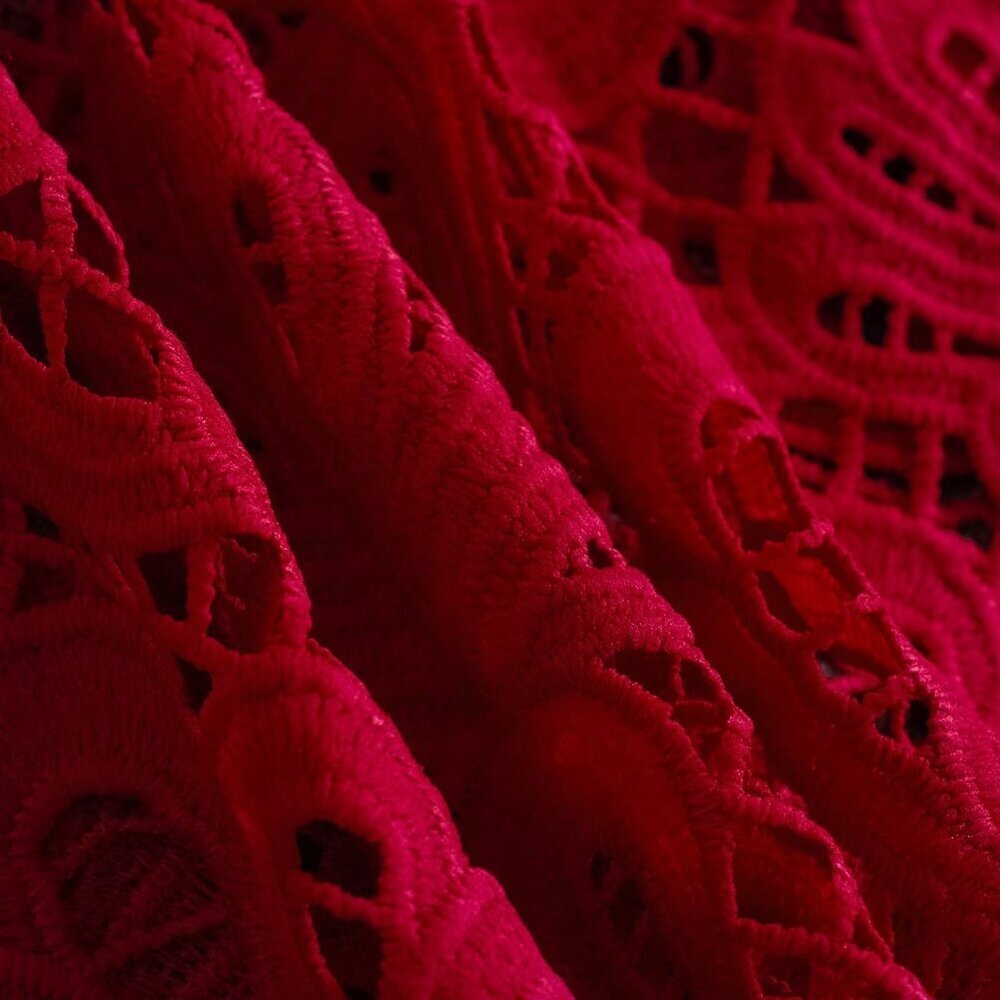 Red Elegant Women's Stand-Up Collar Lace Loose Lantern Long-Sleeved Shirt - Picture 6 of 6